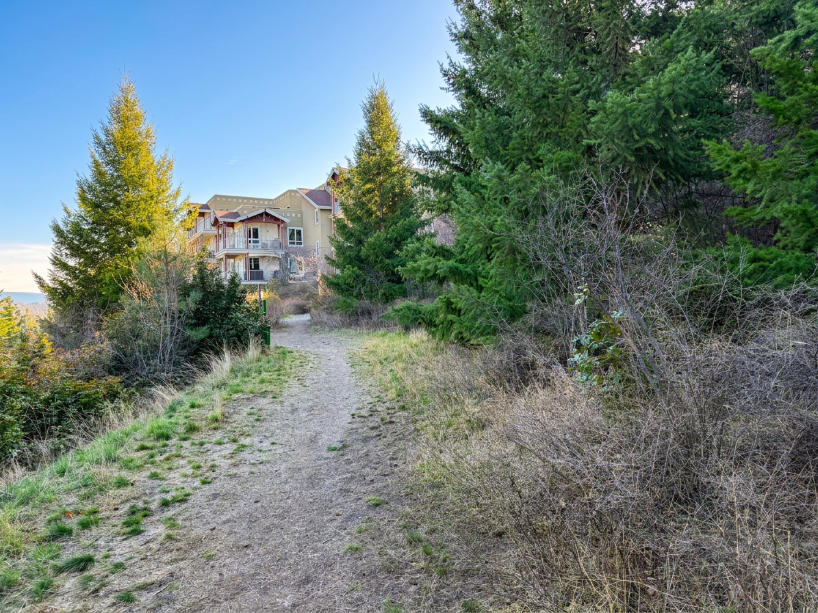 Fire mitigation work — hillside property (FireSmart guidelines) — before