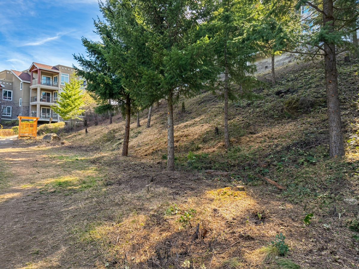 Fire mitigation work — hillside property (FireSmart guidelines) — after