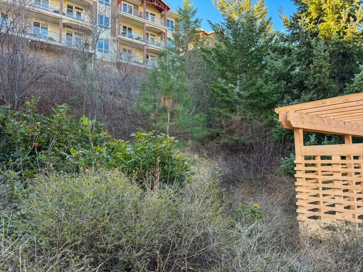 Overgrown strata slope — full cleanup — before